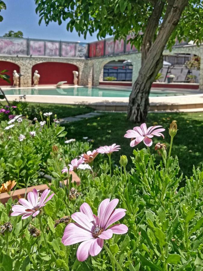 Domus Parthenope Διαμέρισμα Boscotrecase Εξωτερικό φωτογραφία